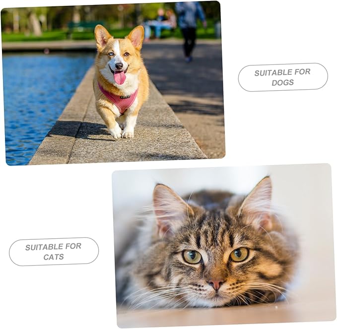 Automatic Pet Feeder Water Dispenser Kitten Food Container Dog Food Feeder Pet Supply Unique Design
