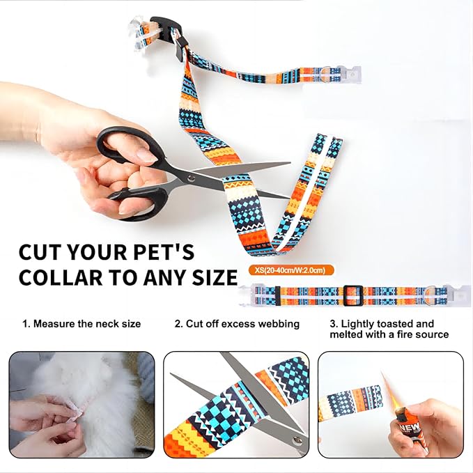 Light Up Dog Collars,LED Dog Collar Rechargeable Waterproof,2-in-1 Buckle Type Glow Collar for Medium Large Dogs,XS(Bohemian Orange)