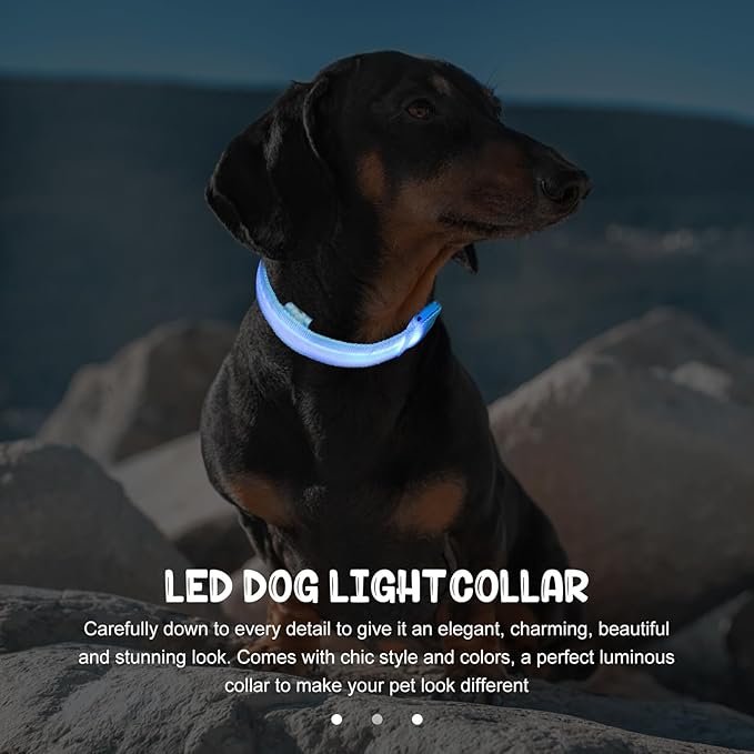 Glowing Pet Collar Adjustable Light up Dog Collar USB Rechargeable Night Luminous Pet Neck Decoration Blue Medium for Dogs