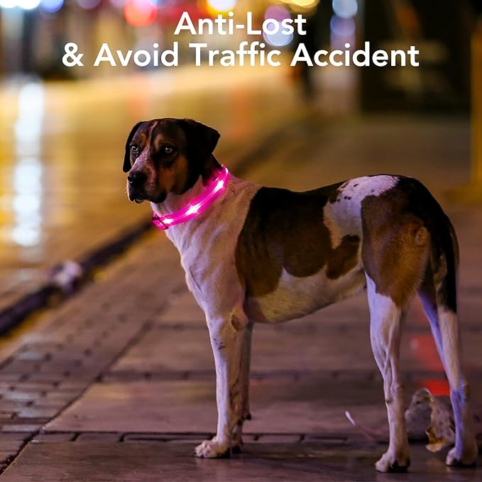 Weesiber Light Up Dog Collars - Rechargeable LED Collar - Reflective Adjustable Dog Lights for Night Walking (Pink, Small)