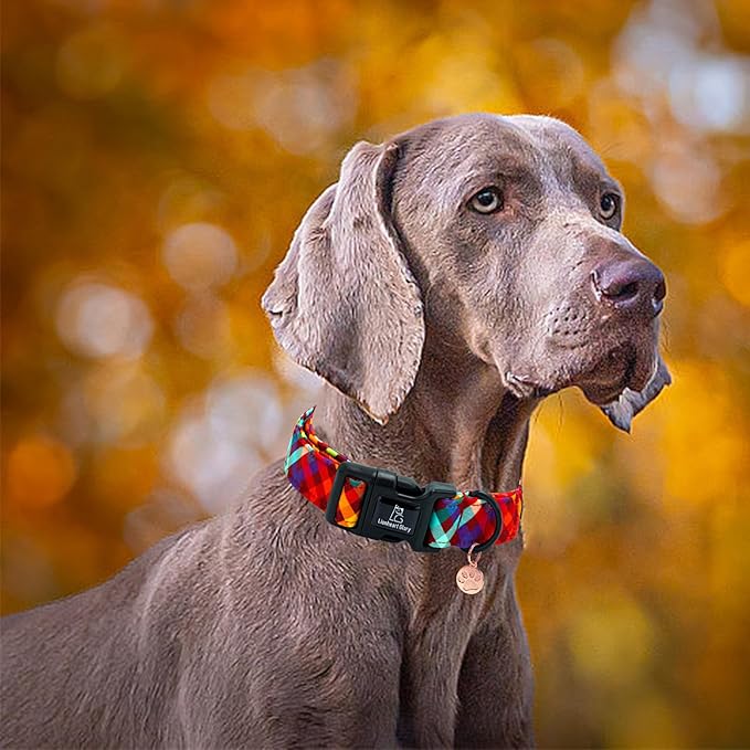 Lionheart glory Fall Plaid Dog Collar-Cute Orange Dog Collars with Plastic Buckle Duty Soft Adjustable Collar for Large Dogs Girls Boys Collars Party Pet Gift