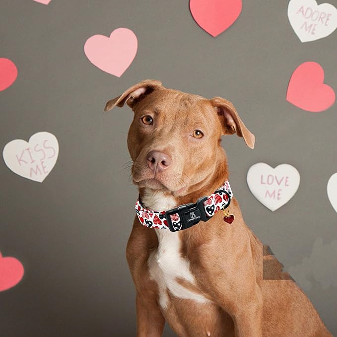 Lionheart glory Valentine's Dog Collar-Red Hearts Cute Spring Dog Collar for Large Dogs Female Male Adjustable Heavy-Duty Dogs Collar Holiday Pet Gift