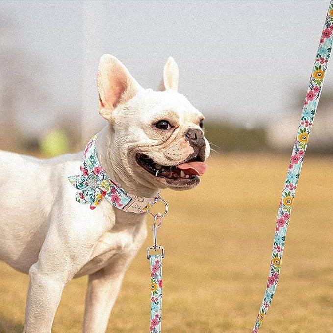 Rhinestone Personalized Dog Collar Leash Set Flower Printed Customized Pet Collar Puppy ID Collar for Small Medium Large Dogs Blue Collar Leash L