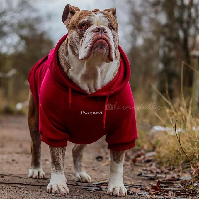 Spark Paws Dog Hoodie – Premium Dog Sweater for Small, Medium, and Large Dogs | Warm Outfits for French Bulldogs, Pitbull, Puppy, Winter Jacket Alternative - Burgundy - S