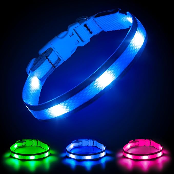 Illumifun Light Up Dog Collar, USB Rechargeable LED Dog Collar Glow in The Dark, Reflcetive Safety Glow Collar for Dogs Walking at Night (Small, Light Blue)