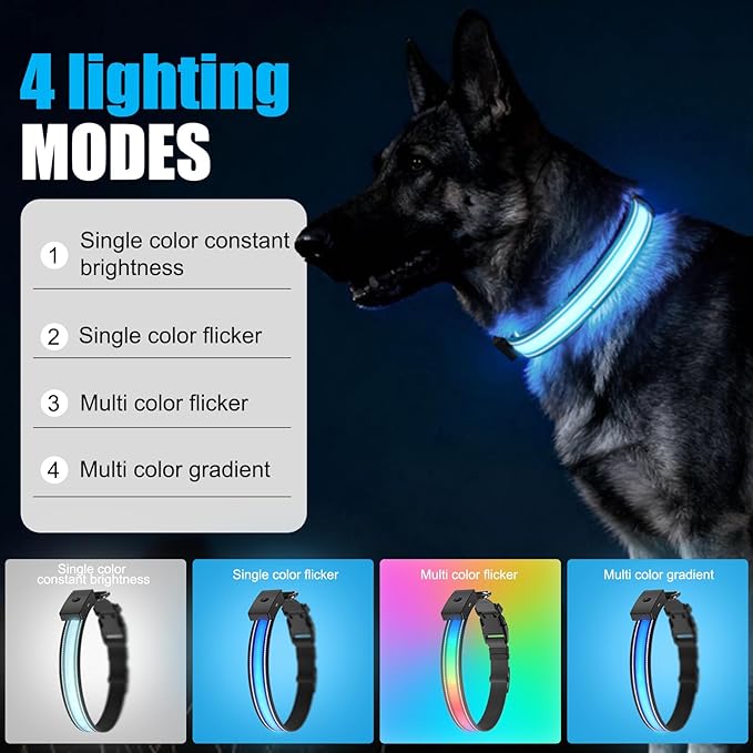 LED Dog Collar Rechargeable- Brightest Light Up Dog Collars - 1,600 Feet of High Visibility - Magnetic Charging - Glow in Dark Dog Lights for Night Walking, Black M