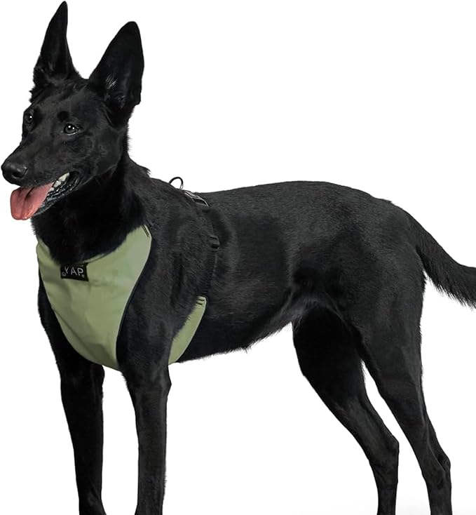 YAP Techno® No Pull Harness Medium Size Dog 4-Way Adjustable, Temperature Controlled Pet Vest Harness No Choke Dog Harness with Easy Control Handle for All Breeds; 25-45 lbs (Regimental Green, Medium)