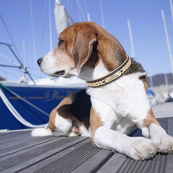 Personalized Braided Dog Collar Custom PU Leather Dog Collars Padded Pet ID Collar for Small Medium Large Dogs Pitbull Bulldog Yellow L