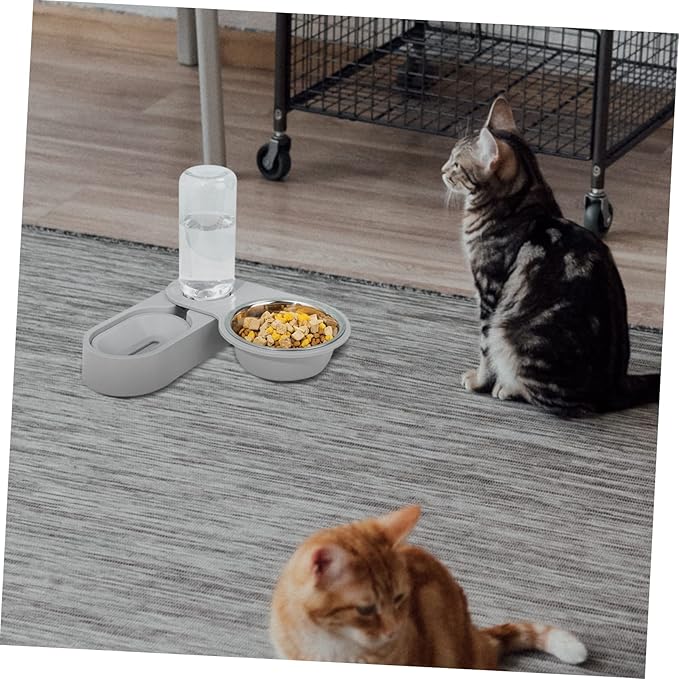 Timed Cat Feeder Automatic Water Dispenser Double Stainless Steel Bowl Pet Supply for Busy Pet Parents