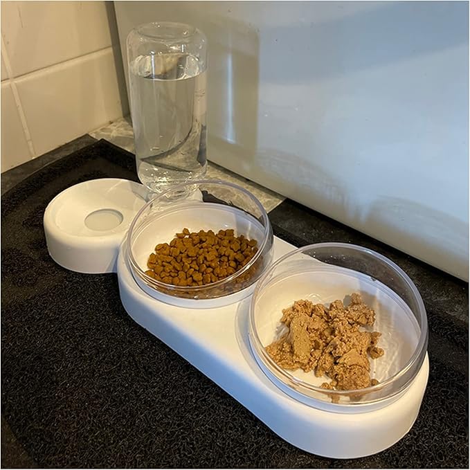 Pet cat Bowl Automatic Dog Food with Fountain Accessories Drinking Water Overhead(White)