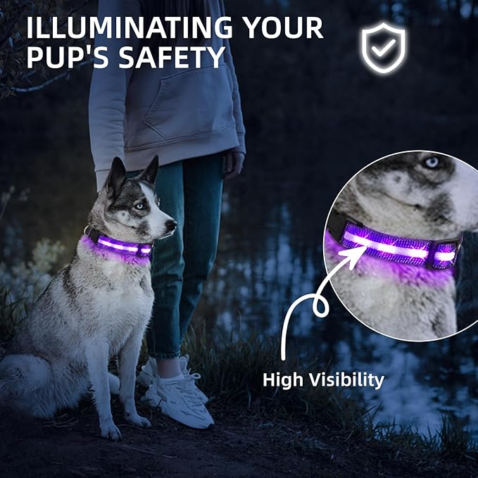 LED Dog Collar for Small Dogs Cats - Fully Waterproof & Adjustable Glow Collar - USB-C Rechargeable for Night Walking, Safety - Flashing Lighted Collar for Dogs(Purple,XS)