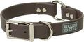 Terrain D.O.G. Brahma Webb Hunting Dog Collar