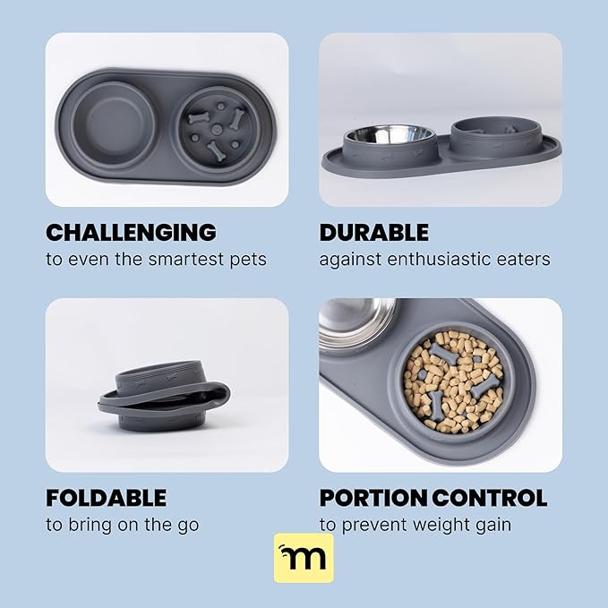MalsiPree 2-in-1 Slow Feeder & Water Bowl Set 15 oz - Anti-Spill Silicone Mat - Stainless Steel Dish, Stainless Steel Water Bowl - Eases Digestion - Pet Gift for Cat, Puppy, Small & Medium Dog Slow