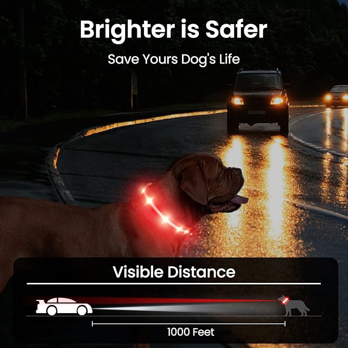 MASBRILL Light Up Dog Collars-RGB Led Collar for Dogs Rechargeable Lighted Dog Collar Water-Resistant Colorful Glow in The Dark Dog Collars for Night Walking