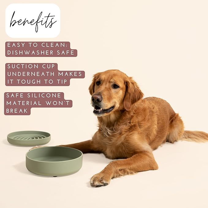 Should We Go? Dog Water Bowl - The Perfect Dish No-Spill, Less Mess Non-Tippable Water & Food Bowl, Silicone with Suction Cup Fits 5 Cups 7.5" Across x 2.25" Tall Ideal for All Pets, Medium-Terracotta