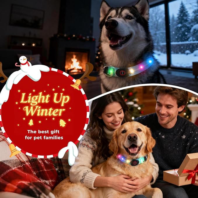 Light Up Dog Collar, LED Dog Collar Glow in The Dark - USBC Rechargeable, 3 Flashing Modes Adjustable Glow Collar, Safety Fashionable Cute Dog Light Up Collars for Medium Large Dogs Green
