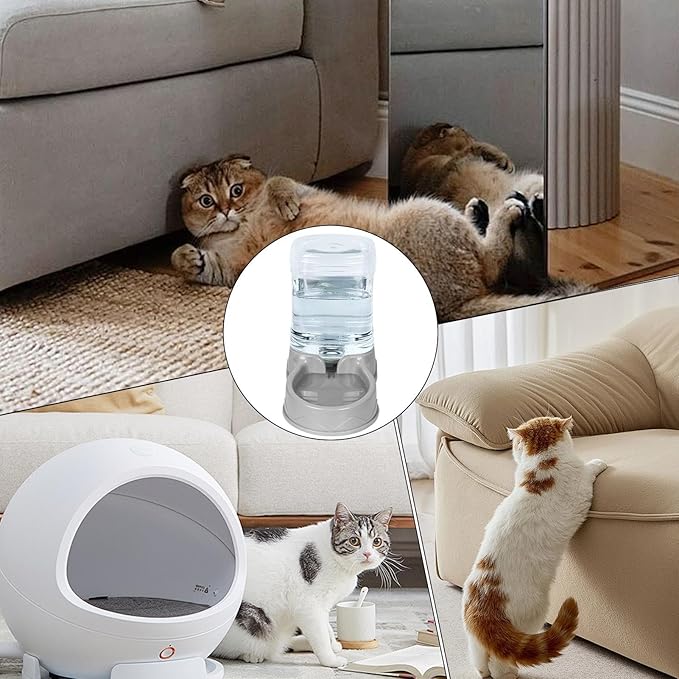 Cat Feeder - Automatic Pet Feeder | Waterer Dispenser, Self-Feeding Cat Dispenser, Automatic Meal Dispenser with Durability, Large Capacity Cat Feeder, Pet Water Dispenser for Cats Pets Small Dogs
