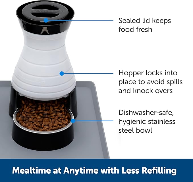 PetSafe Healthy Pet Food Station-Medium, 4 lb Kibble Capacity-Gravity Pet Feeder Dry Food Dispenser, Automatic Cat Feeder, Small to Medium-Removable Stainless Steel Bowl (Pack of 2)