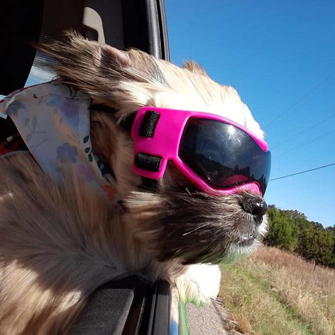 PETLESO Dog Goggles Small Breed, XS Dog Sunglasses Chihuahua Glasses Anti-UV Eyes Protection for XSmall Pets Tiny Dogs Cats, Pink XS