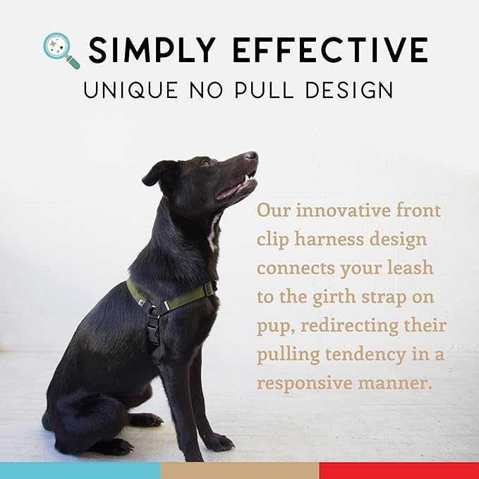 Wildebeest No Pull Dog Harness | Comfortable Training Harnesses | Effective No Pull Harness Design | Ideal for Large Sized Dog | 4-Point Adjustable(XL - 30~36 inch Girth, Olive)