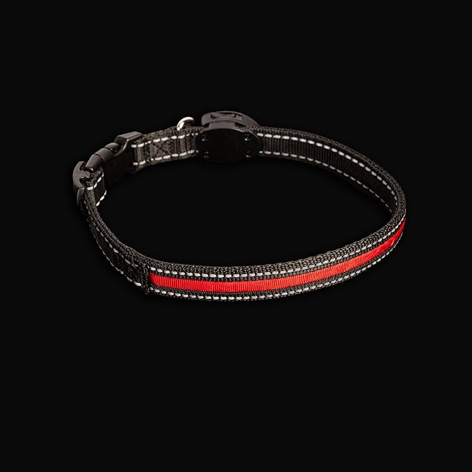 Sherry Kline LED Light-Up Pet Collar - USB Rechargeable - Flashing Glow in The Dark Size Medium, Color: Red