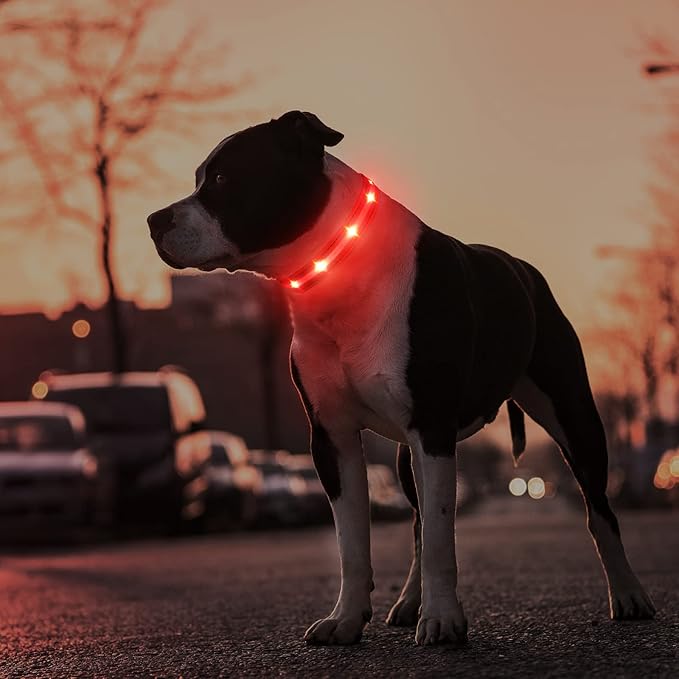 MASBRILL Led Dog Collar, Water-Resistant Lighted Dog Collar with Flashing, Glowing Night Safety Feature - Adjustable