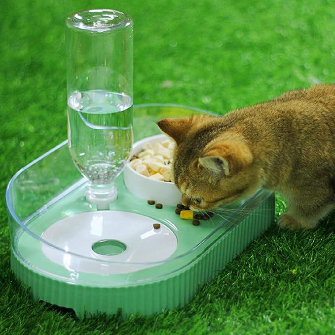 Elevated Dog Cat Bowls, Ceramic Water and Food Bowl Set with Automatic Waterer Bottle, 2 in 1 Cat Food Dispenser with Wet and Dry Food Bowl for Cats and Small Dogs Kitten Puppy(Green)