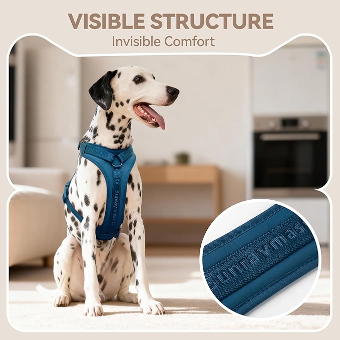 No Pull Dog Harness with Lycra, Three-Point Force Dispersion & 3D Padding, Adjustable Breathable Mesh for Small Medium Large Dogs(Prussian Blue,XS)