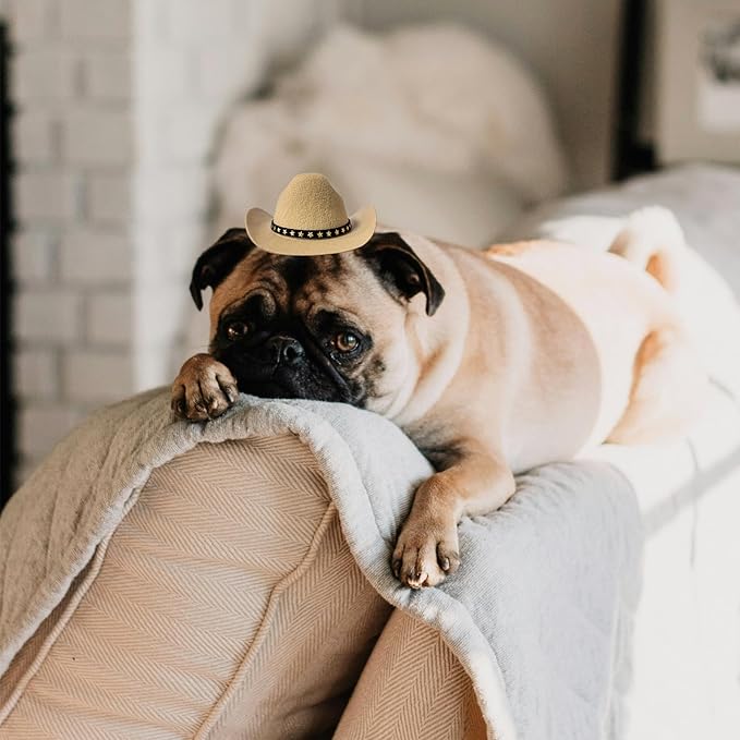 Dog Cowboy Hat Cat Cowboy Hat Pet Cowboy Costume Mini Cowboy Hat for Dogs Cat Holiday Halloween Pet Party Decoration (Khaki, Small)