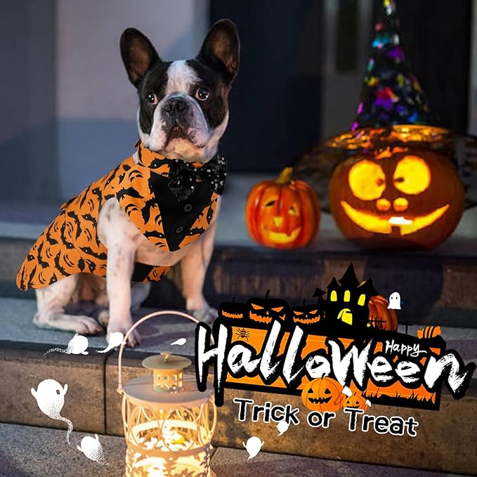 Kuoser Dog Tuxedo Suit and Bandana Set, Bat Pumpkin Print Dogs Halloween Outfit Adjustable Dog Halloween Costume with Bow Tie for Large Medium Small Dogs Golden Retriever Samo Bulldogs, Orange M