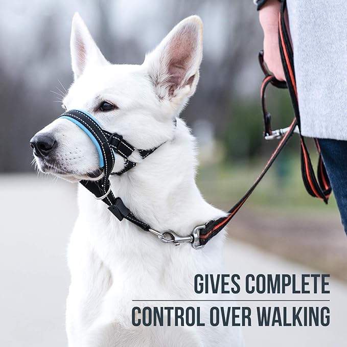 GoodBoy Dog Head Halter with Safety Strap - Stops Heavy Pulling On The Leash - Padded Headcollar for Small Medium and Large Dog Sizes - Head Collar Training Guide Included (Size 3, Blue)