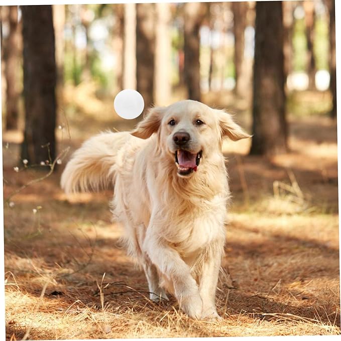 Scent Training Tool for Dogs Scent Training Ball for Nose Work Engaging Accessory for Service Dogs