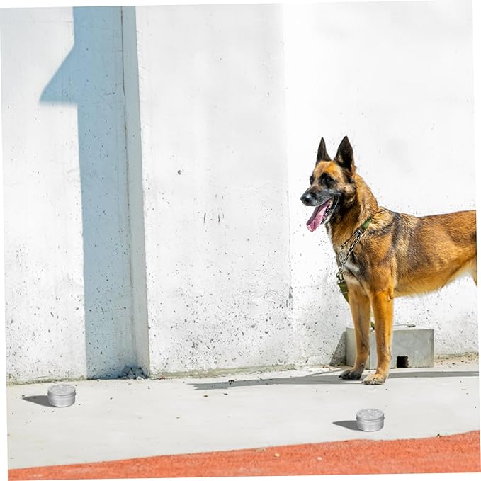 SUPVOX 1set Dog Scent Dog Scent Training Tins Adhesive Pads for Nose Training Lightweight Containers