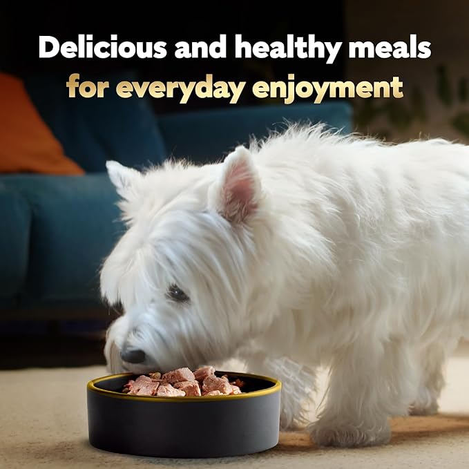 Cesar Wet Dog Food Steak Lovers Variety Pack, Adult, Wet Food for Dogs with Real Meat, 3.5 oz Easy Peel Trays, 24 Count