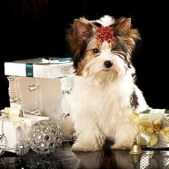 PET SHOW 20pcs/10pairs Curly Dog Hair Bows with Rubber Bands for Small Medium Dogs Spiral Puppy Swirl Topknot Cat Festival Hair Accessories Pet Favor Gift (Christmas Styles)