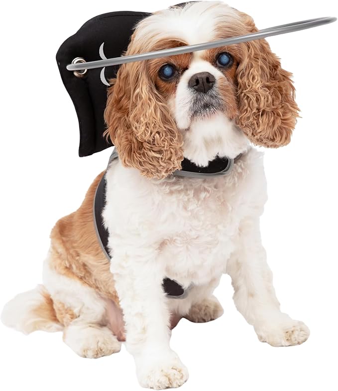 Muffin’s Halo® – The Original Blind Dog Halo | Harness & Bumper Collar Accessory for Safe Navigation & Confidence – Black, Size 4