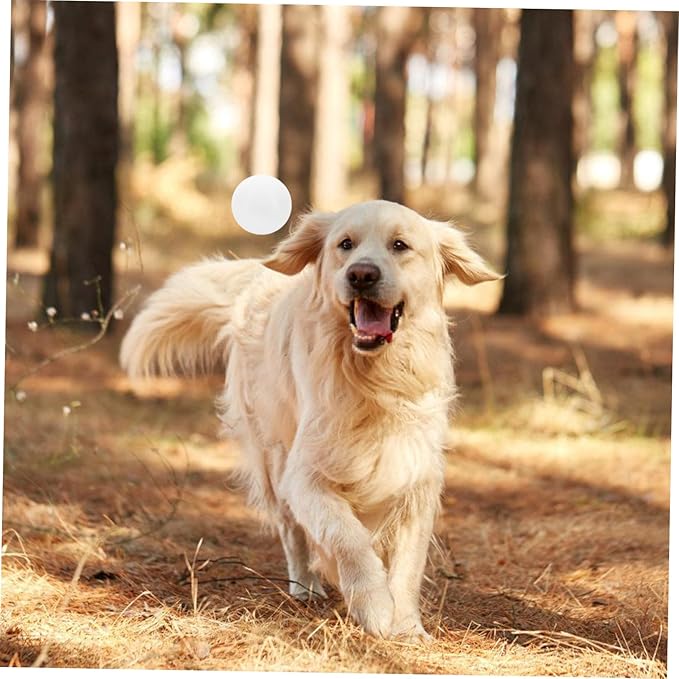 Scent Work Training Tool for Dogs Nose Work Equipment for Service Dogs Versatile Scent Detection for Agility and Tracking Training Engagement and Effectiveness