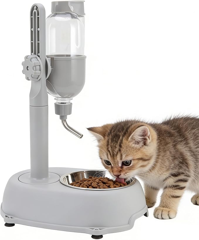 Pet Standing Water Dispenser, Multifunctional 2 in 1 Detachable Height Adjustable Pet Puppy Dog Kitten Bowl, Automatic Dog Water Dispenser for Puppy Dwarf Dog Cat,Grey,11 x 7.7 x 15.4in