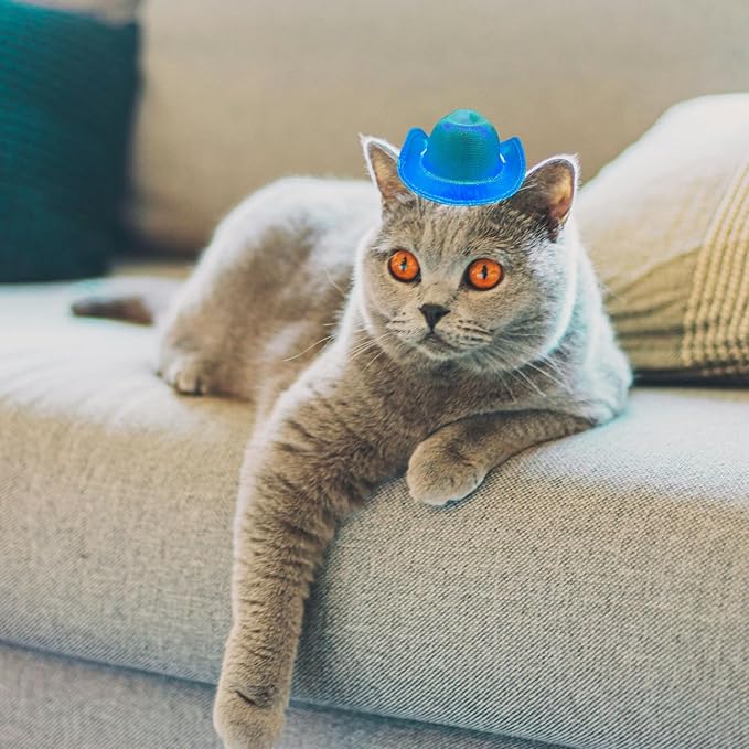 Dog Cowboy Hat Cat Cowboy Hat Pet Cowboy Costume Mini Cowboy Hat for Dogs Cat Holiday Halloween Pet Party Decoration (Blue-style2, Small)