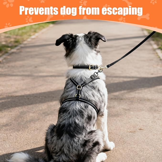 Dog Collar Safety Clip, Adjustable Backup Safety Strap, Double-Ended Leash Connector, High Reflectivity, Suitable for Dog Harnesses to Collar Safety Clips (Grey)