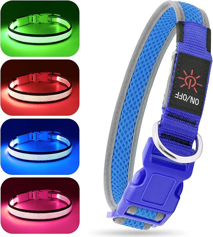 BSEEN Light Up Dog Collar - Reflective LED Dog Collar Rechargeable, Glowing Pet Collars, Adjustable Doggie Lights for Night Walking (Medium Collar, Royal Blue)