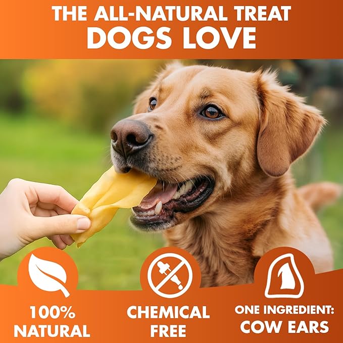 BRUTUS & BARNABY Cow Ears for Dogs – Halves 30 ct, Thick Cut, Grass-Fed Angus Beef, All-Natural No-Rawhide Dog Treat Alternative