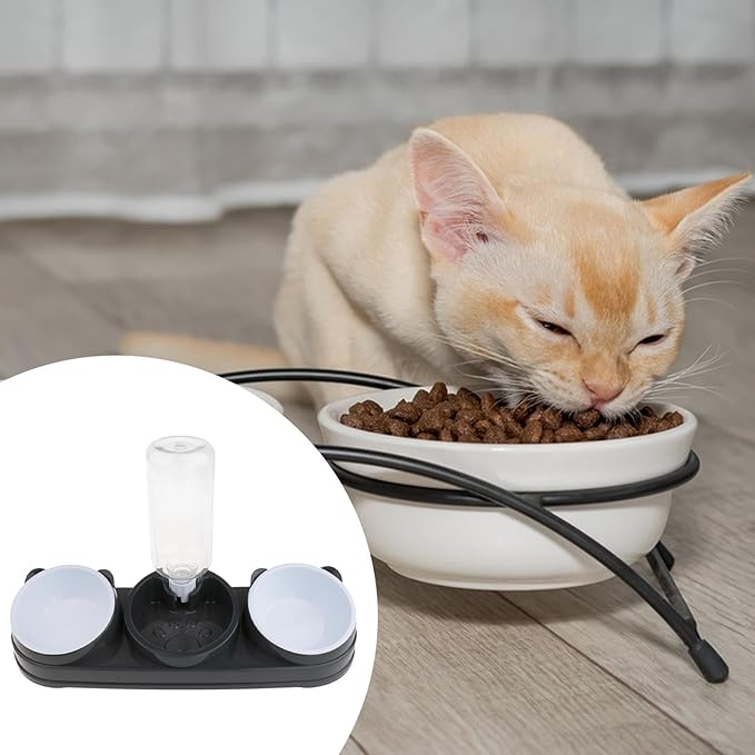 Double Bowl Pet Food Water Dish Feeder for Dog Cats Daily Feeding with Automatic Dispenser for Dry Wet Double Bowl Feeder
