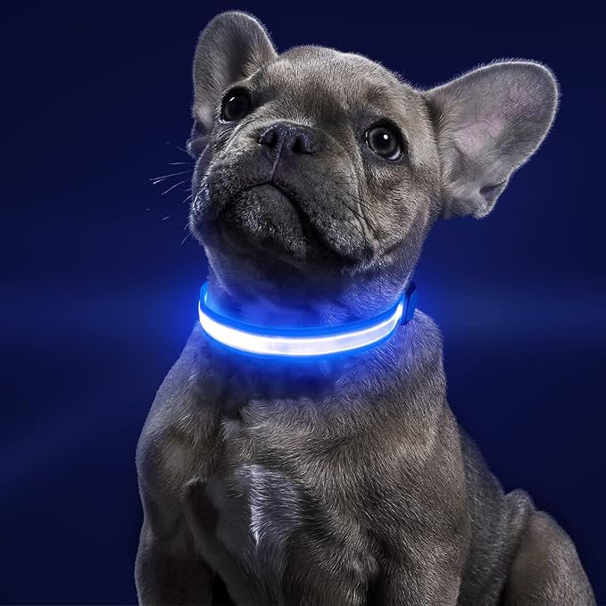 BSEEN LED Dog Collar - Reflective Light Up Dog Collars, Waterproof Lighted Pet Collars, Adjustable Dog Glow Collar, Rechargeable Dog Lights for Night Walking (Royal Blue, X-Large)
