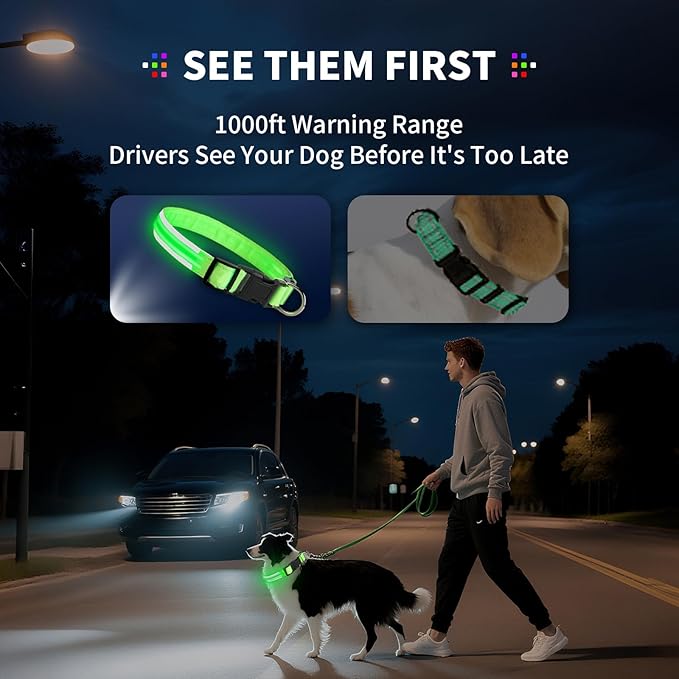 PetIsay Dog Light up Collar for Night Walking - High Visibility LED Dog Collar - Rechargeable - Waterproof - Reflective - Adjustable Lighted Glow Collars(Blue, XLarge)