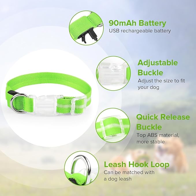 Spring Green Large LED Dog Collar | Night Walks just got safer | Ultra-Bright LED Collar | USB Rechargeable | Waterproof | Adjustable & Durable | 4 Light Modes | Keep Your Pup & Yourself Safe!