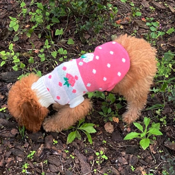 CHBORCHICEN Pet Dog Sweaters Classic Knitwear Turtleneck Winter Warm Puppy Clothing Cute Strawberry and Heart Doggie Sweater (Pink, Large)