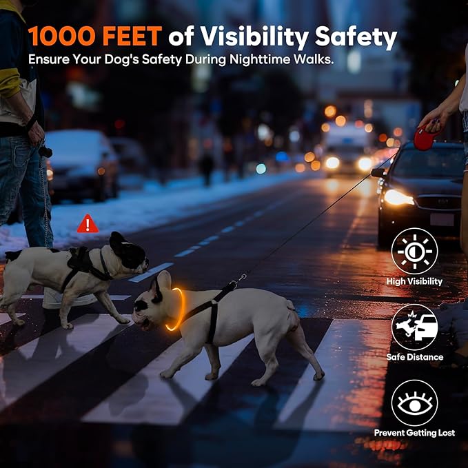 LED Dog Collar, Light Up Dog Collars USB Rechargeable for Night Walking-Fashion TPU Glowing Safety Pet Collar Lights for Small Dogs Cat (Orange)