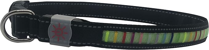 IT'S RIDIC! LED Rainbow Dog Collar Rechargeable via USB (Medium, Red LED)