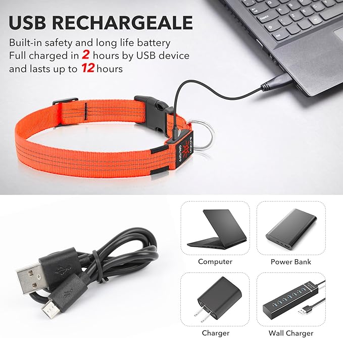 Illumifun Light Up Dog Collar USB Rechargeable LED Dog Collar, Adjustable Blinking Dog Light for Large Dogs (OrangeⅢ, Large)
